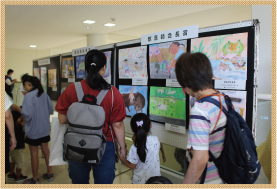 展示の様子