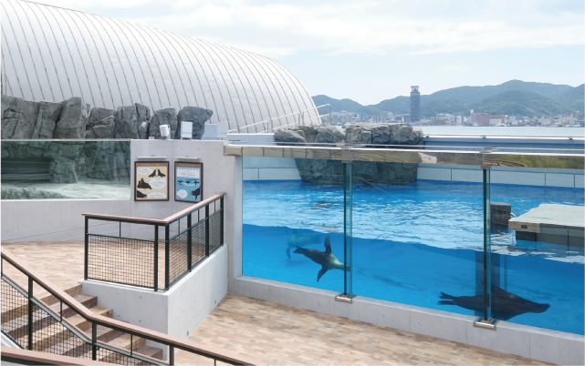海響館の画像