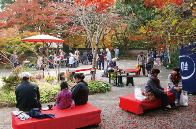 白野江植物公園の紅葉のお茶席の写真