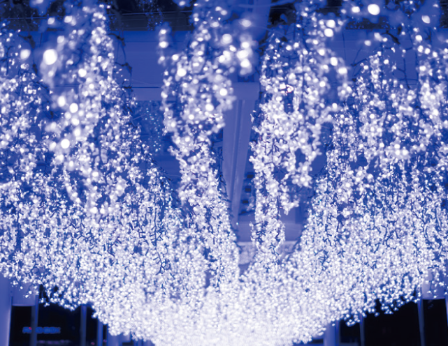 黒崎イルミネーションの画像