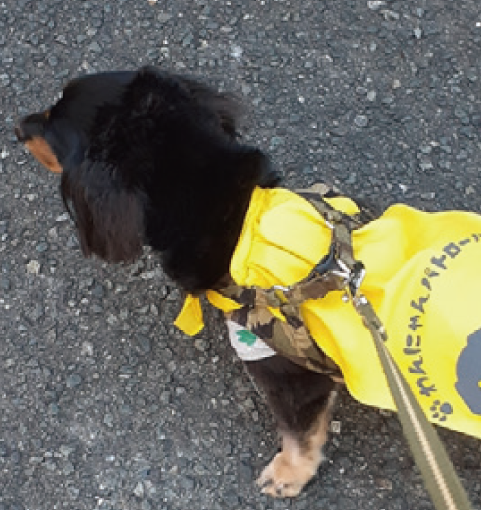 「ながら見守り」活動に協力くださいの写真