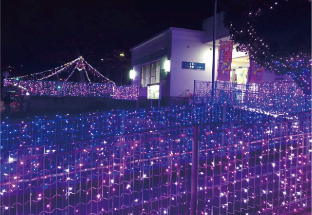 ONE若★区役所イルミの写真