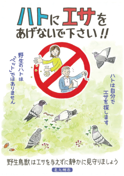 ハトにエサをあげないでくださいの写真