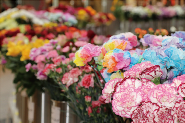 北九州最大の花の祭典「北九州花ロマン祭」の写真