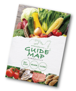 ガイドブックの画像