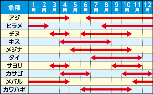 釣れる魚のシーズン（目安）の表