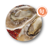 （旬）豊前海一粒かきの画像