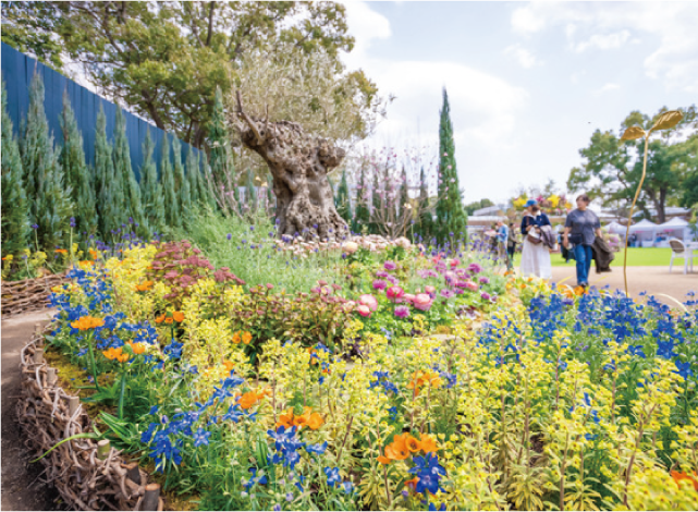 フクオカフラワーショー いよいよ開幕の写真