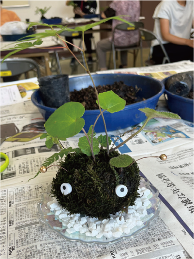春の野の花で苔（こけ）玉づくりの写真