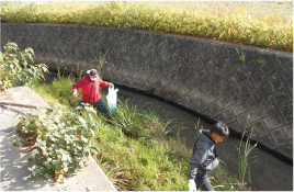 朽網川、昭和池などでの清掃活動の写真