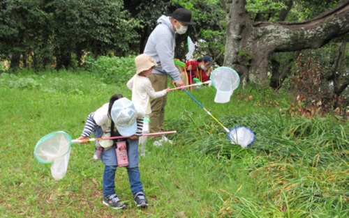 春のいとうづの森調査隊活動の様子
