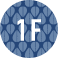 1F