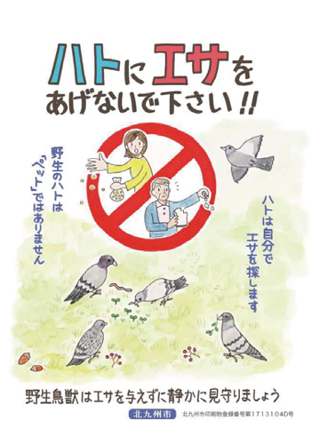 ハトにエサをあげないで下さい！！