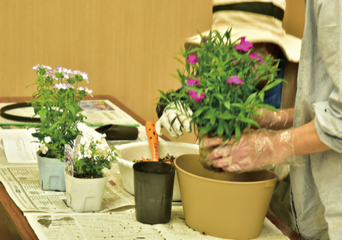 講習会の様子