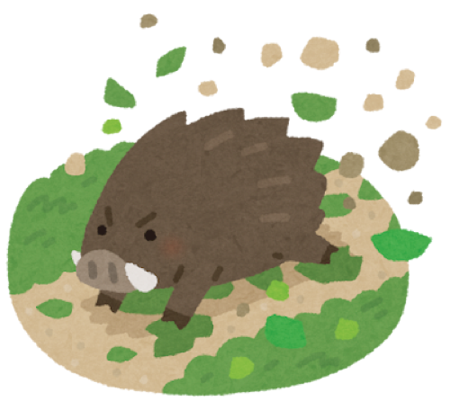 猪のイラスト