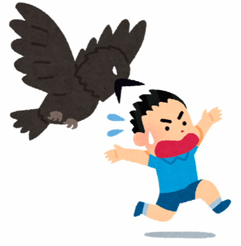 攻撃するカラスのイラスト