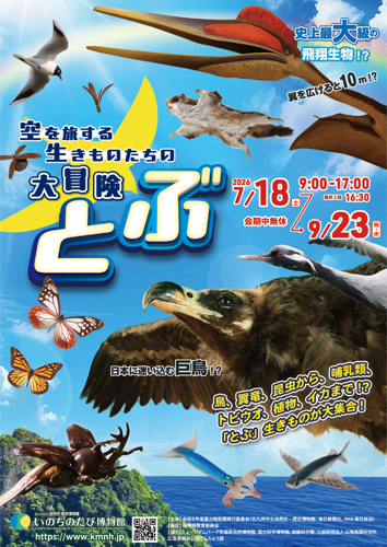 夏の特別展「とぶ 空を旅する生きものたちの大冒険」のポスター画像