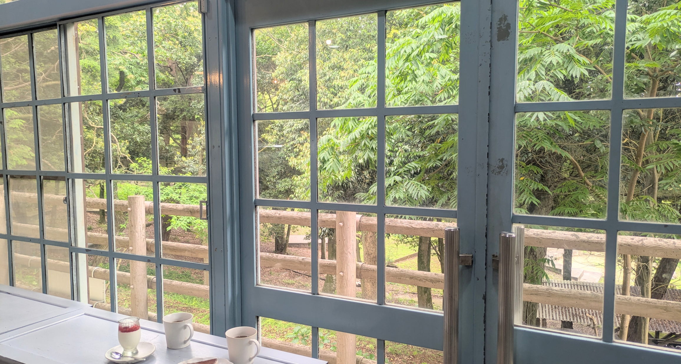 森のデイキャンプplainの画像