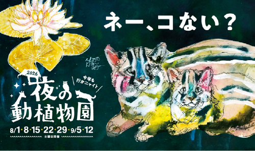 2026 夜の動植物園の画像