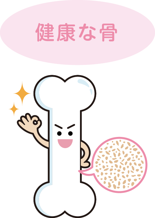 健康な骨