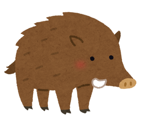 イノシシのイラスト