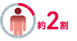 約2割