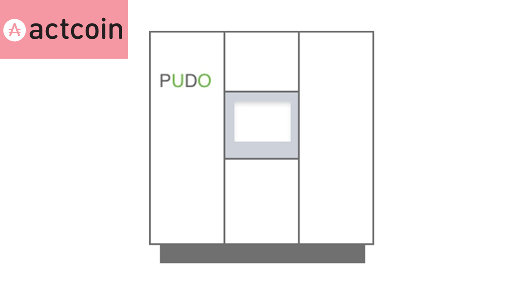 PUDO