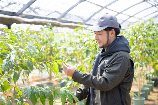 植物を手でさわり、様子を見ている男性